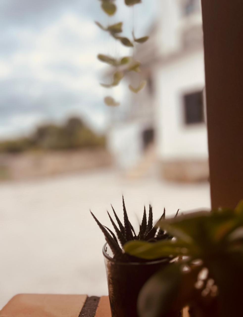 Quinta Jr - Casa De Campo Carregal  Exterior foto